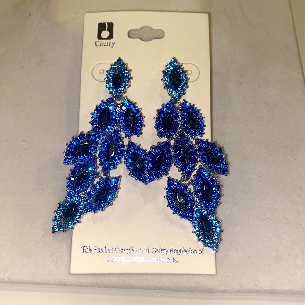 Brand New beautiful drop blue earrings.